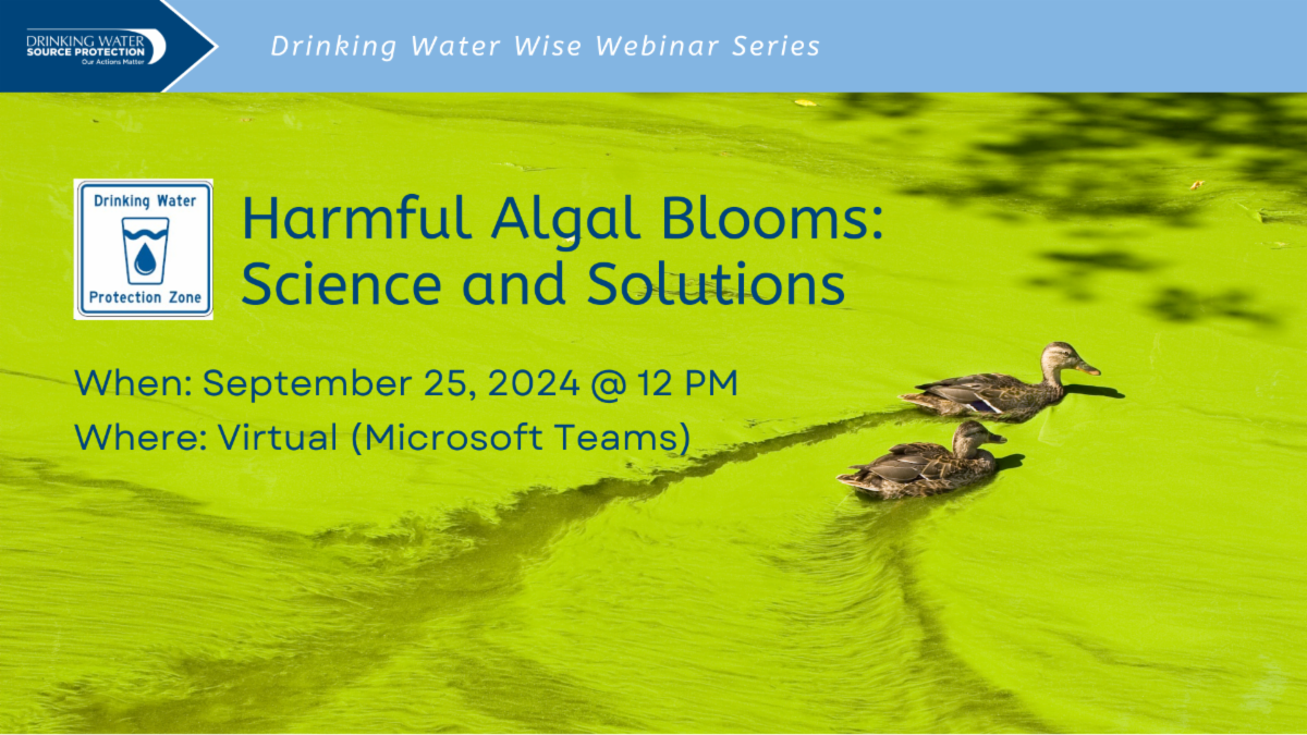 Graphic featuring photo of two ducks swimming through algal blooms in a lake with the text 'Harmful Algal Blooms: Science and Solutions'