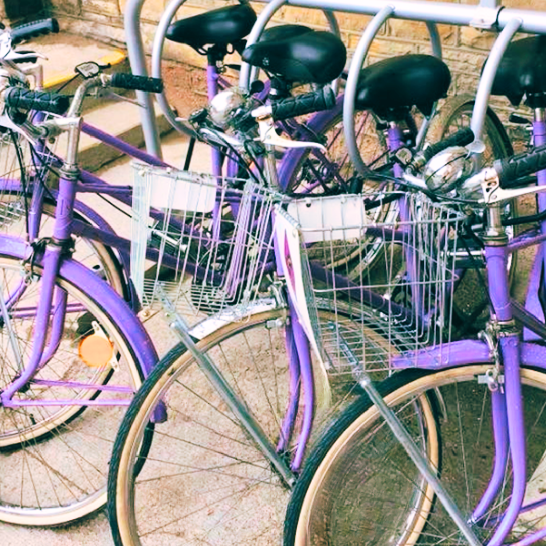 Mississippi Mills purple bikes