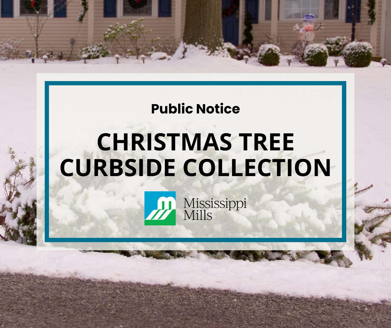 Photo of Christmas tree covered in snow lying in front of a house. Text reads 'Christmas Tree Curbside Collection.'