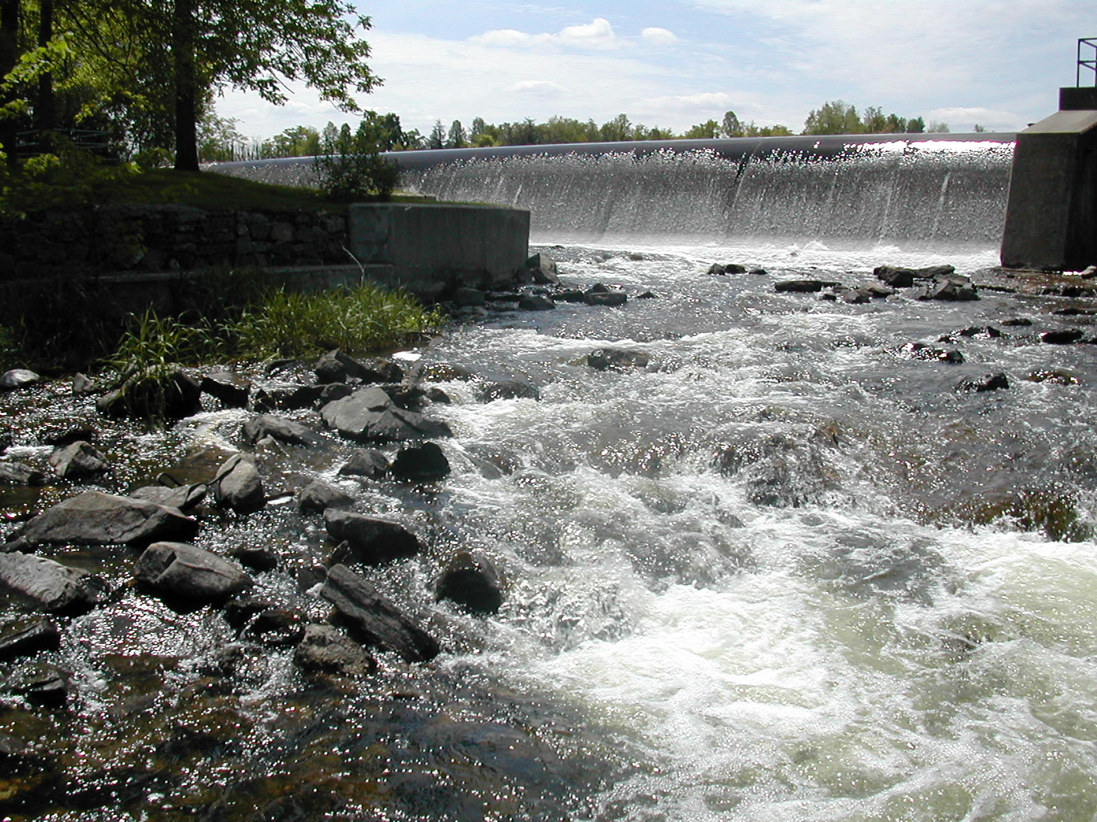 Photo of the Clayton Dam in summer