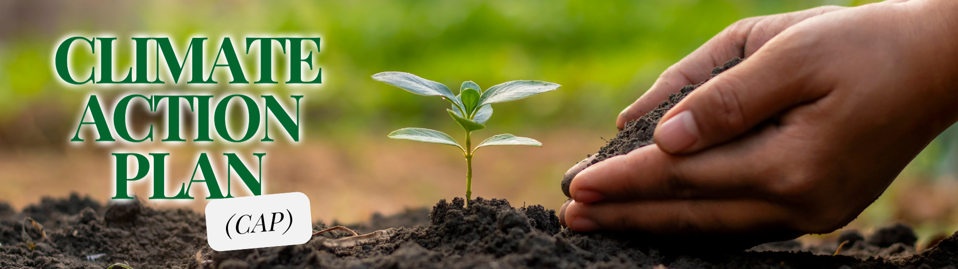 Photo of a plant seedling being planted by a pair of hands. Overlay text says "Climate Action Plan (CAP)"